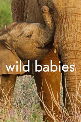 野生动物宝宝 第一季 Wild Babies Season 1.2022 字幕下载
