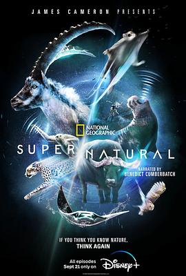 超/自然 Super/Natural.2022 字幕下载