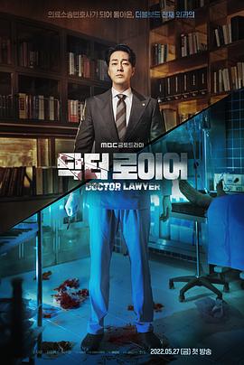 医法刑事 닥터로이어.2022 字幕下载