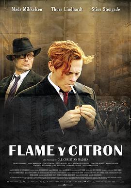 弗莱蒙与希特伦 Flammen & Citronen.2008 字幕下载
