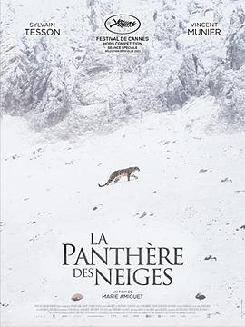 雪豹女王 La Panthère des neiges.2021 字幕下载