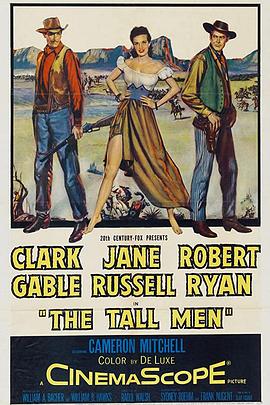 铁汉娇娃 The Tall Men.1955 字幕下载