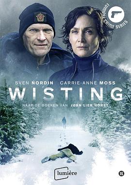 连环杀人犯被杀事件 Wisting.2019 字幕下载