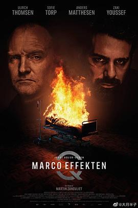 悬案密码5：马可效应 Marco effekten.2021 字幕下载