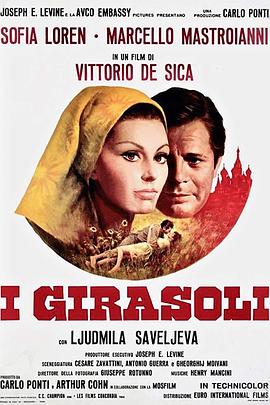 第二个月亮 I girasoli.1970 字幕下载