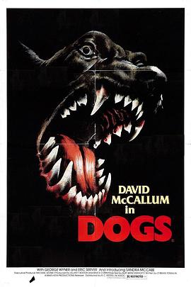 癫狗 Dogs.1976 字幕下载