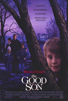 危险小天使 The Good Son.1993 字幕下载