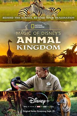迪士尼动物王国 Magic of Disney's Animal Kingdom.2020 字幕下载