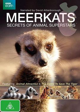 Meerkats - Secrets Of An Animal Superstar .2013 字幕下载
