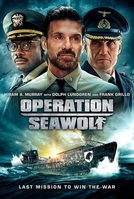 海狼行动 Operation Seawolf.2022 字幕下载