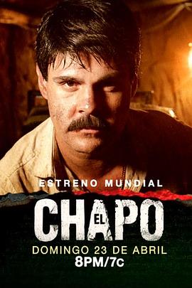毒枭矮子 第一季 El Chapo Season 1.2017 字幕下载