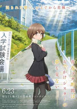 青春期猪头少年不会梦到娇怜外出妹 青春ブタ野郎はおでかけシスターの夢を見ない.2023 字幕下载