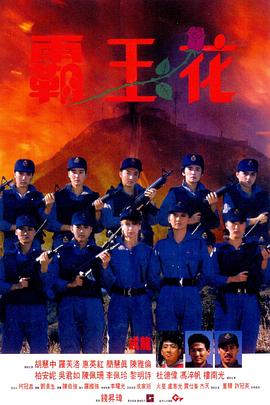 霸王花 .1988 字幕下载