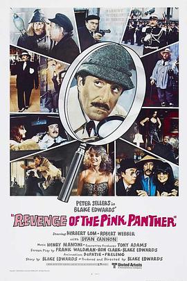 乌龙帮办逢凶化吉 Revenge of the Pink Panther.1978 字幕下载