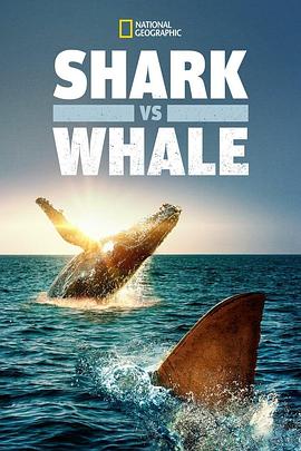 鲨与鲸 Shark vs. Whale.2020 字幕下载