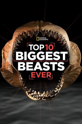 十大巨兽排行榜 Top 10 Biggest Beasts Ever.2015 字幕下载