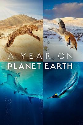 地球上的一年 A Year on Planet Earth.2022 字幕下载