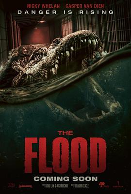 致命洪灾 The Flood.2023 字幕下载