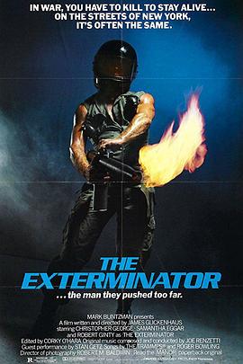 根除者 The Exterminator.1980 字幕下载