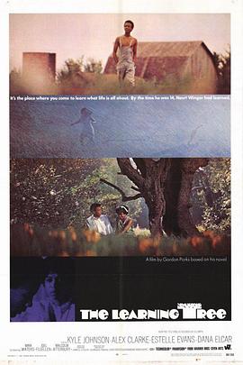 常识树 The Learning Tree.1969 字幕下载