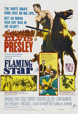 手足英雄 Flaming Star.1960 字幕下载