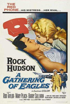铁翼雄风 A Gathering of Eagles.1963 字幕下载