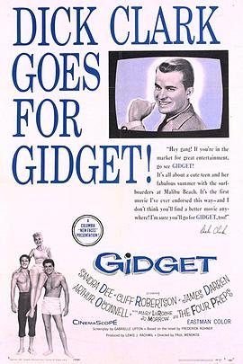 怀春玉女 Gidget.1959 字幕下载