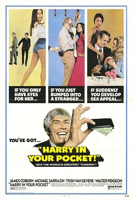 妙手空空大行动 Harry in Your Pocket.1973 字幕下载