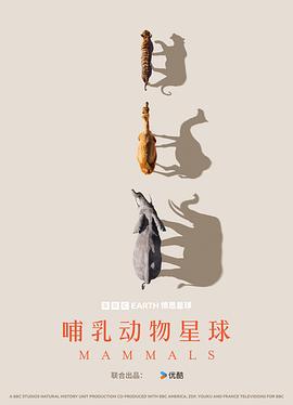 哺乳动物星球 Mammals.2024 字幕下载