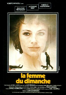 星期天的女人 La donna della domenica.1975 字幕下载