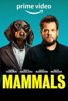 哺乳动物 Mammals.2022 字幕下载