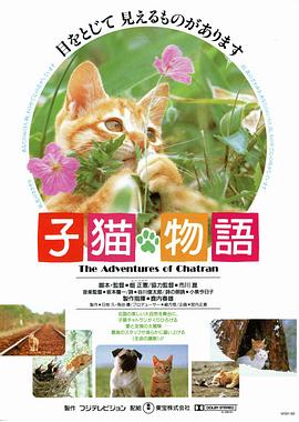 小猫的故事 子猫物語.1986 字幕下载
