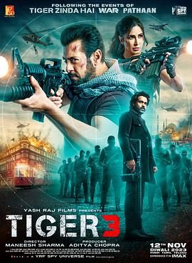 猛虎3 Tiger 3.2023 字幕下载