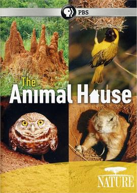 自然世界：动物之家 The Natural World: Animal House.2011 字幕下载
