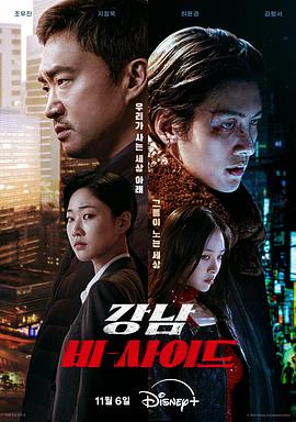 江南重案组 강남 비-사이드.2024 字幕下载