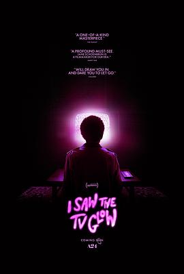 荧屏在发光 I Saw the TV Glow.2024 字幕下载