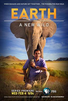 地球：新荒野 Earth: A New Wild.2015 字幕下载