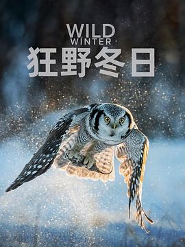 狂野冬日 第一季 Wild Winter Season 1.2024 字幕下载