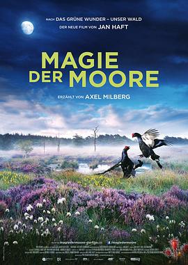 神秘荒野：魔法沼泽 Magie der Moore.2015 字幕下载