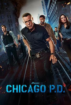 芝加哥警署 第十二季 Chicago P.D. Season 12.2024 字幕下载
