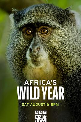 狂野非洲 第一季 Africa's wild year Season 1.2021 字幕下载