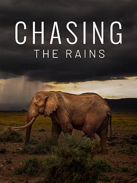 逐雨之途 Chasing the Rains Season 1.2022 字幕下载