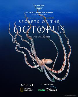 章鱼的秘密 Secrets of the Octopus.2024 字幕下载
