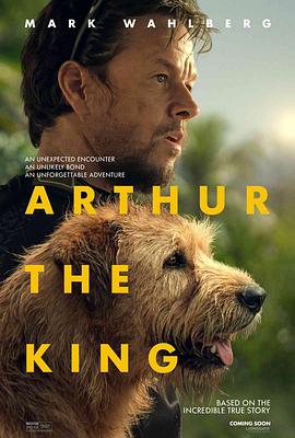 冠军亚瑟 Arthur the King.2024 字幕下载