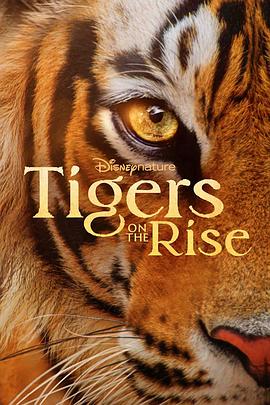 老虎崛起 Tigers on the Rise.2024 字幕下载