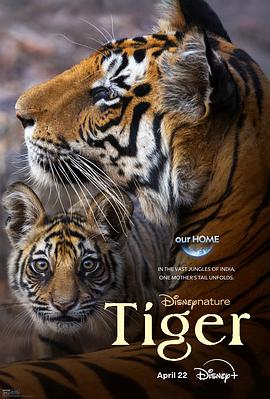 老虎 Tiger.2024 字幕下载