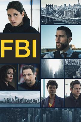 联邦调查局 第六季 FBI Season 6.2024 字幕下载