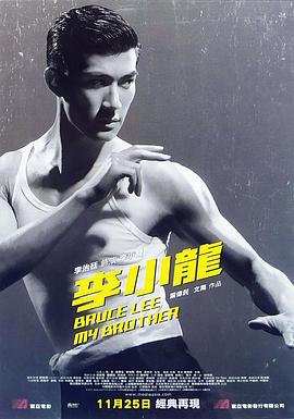李小龙我的兄弟 .2010 字幕下载