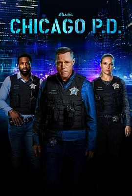 芝加哥警署 第十一季 Chicago P.D. Season 11.2024 字幕下载