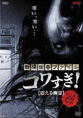 战栗怪奇：惊吓!  FILE-02 震撼幽灵 戦慄怪奇ファイル コワすぎ! FILE-02 震える幽霊.2012 字幕下载